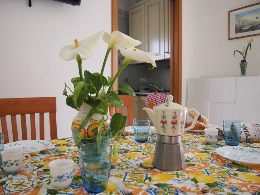 House Mentina Apartment